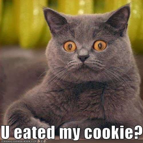 U eated my cookie ?